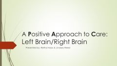 LAI308 - PAC Approach to Left Brain Right Brain