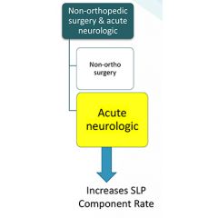 LAI104 - PDPM Primary Diagnosis Category - Acute Neurological