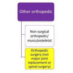 LAI113 - PDPM Orthopedic Surgery