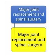 LAI102 - PDPM Primary Diagnosis Category - Major Joint Replacement and Spinal Surgery