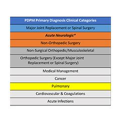 LAI109 - PDPM Primary Diagnosis Category Pulmonary