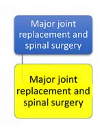 LAI102 - PDPM Primary Diagnosis Category - Major Joint Replacement and Spinal Surgery
